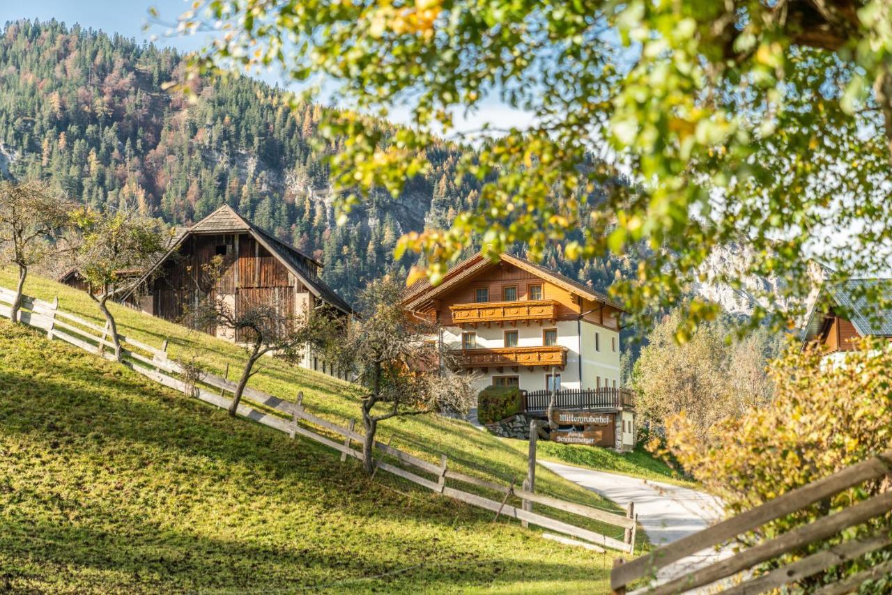 Bed and Breakfast Mittergruberhof Шладмінг Екстер'єр фото