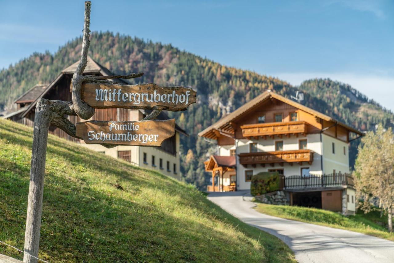Bed and Breakfast Mittergruberhof Шладмінг Екстер'єр фото